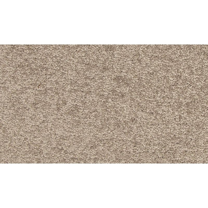 Refreshing Charm Stone Wall Polyester Carpet - Textured