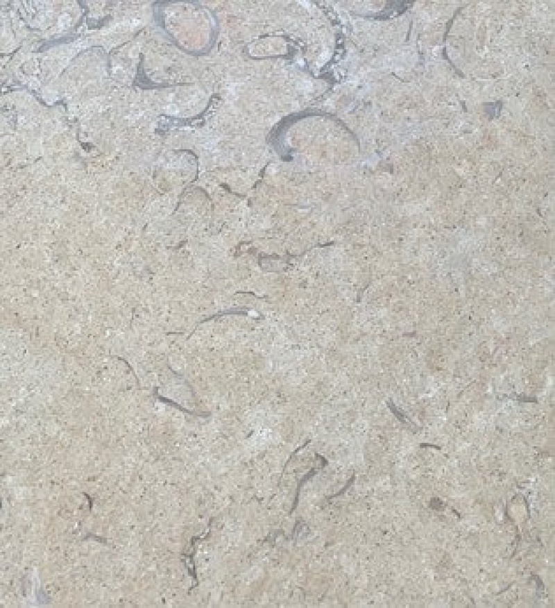 Halila Fossil Limestone Tile - Brushed - 12" X 12"
