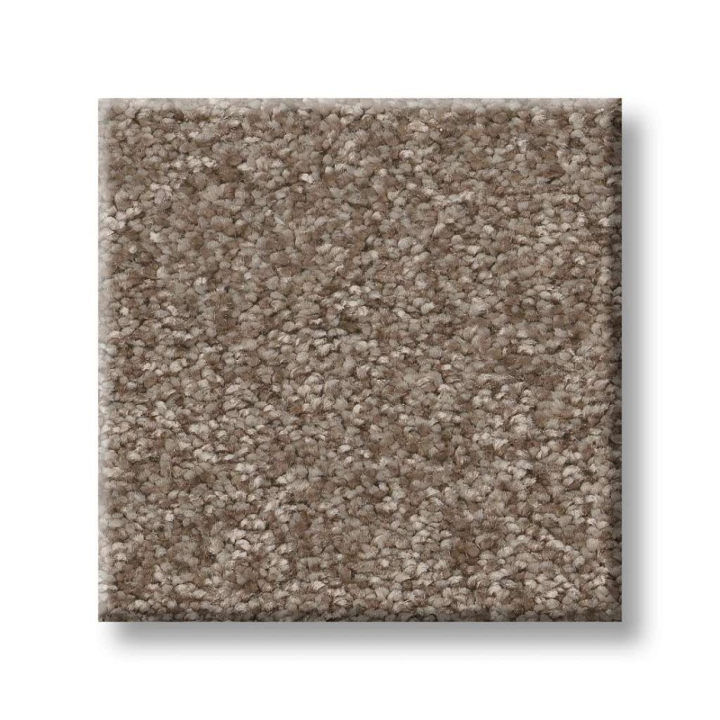 Pet Perfect You Got This III Cameo Polyester Carpet - Textured
