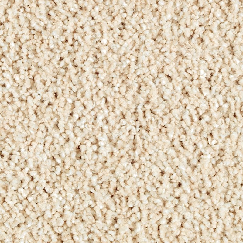 Stonington Manor II Moonbeam Triexta Carpet - Textured