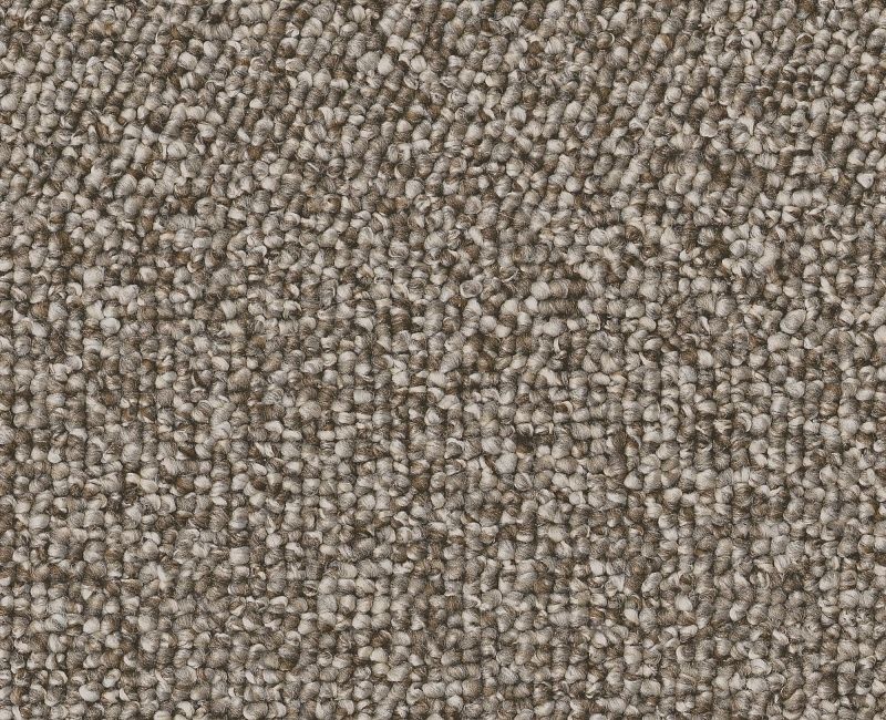 Avenue Light Brown Gray Textured Polyester Carpet