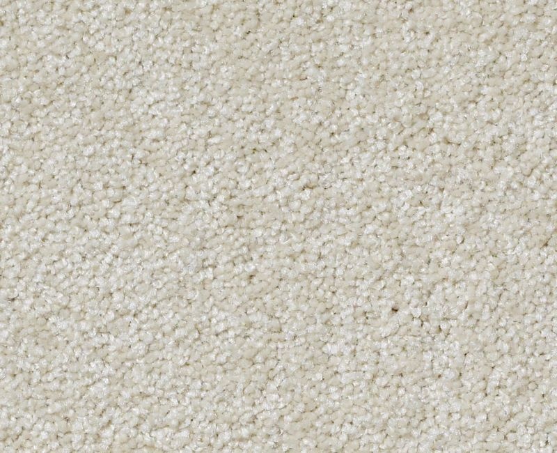 Great Choice Plaster Nylon Carpet - Textured