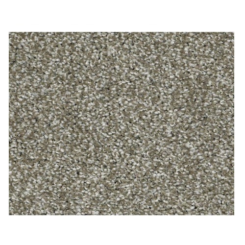 Striking Silver Sage Nylon Carpet - Textured