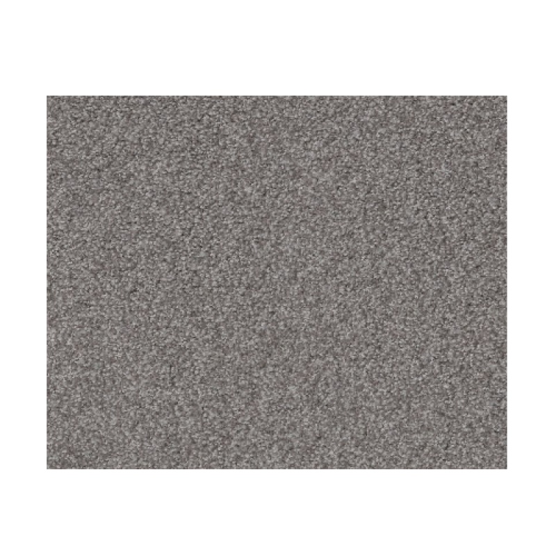 Bountiful Beauty Charcoal Nylon Carpet - Textured