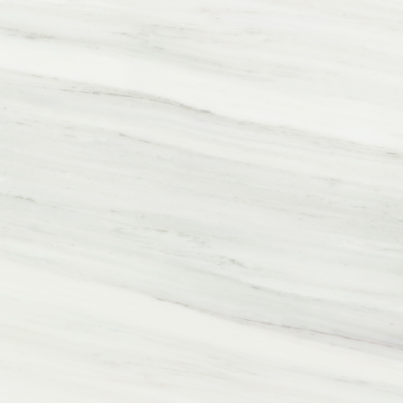 Marble Plus Dolomite Pearl Porcelain Tile - Matte - 24" x 24"
