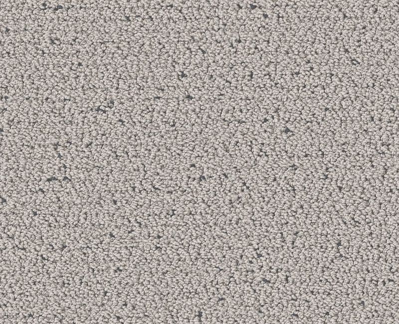 Without A Trace Flannel Polyester Carpet - Textured