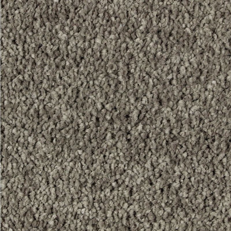 Exquisite Attraction Garden Bramble Triexta Carpet - Textured