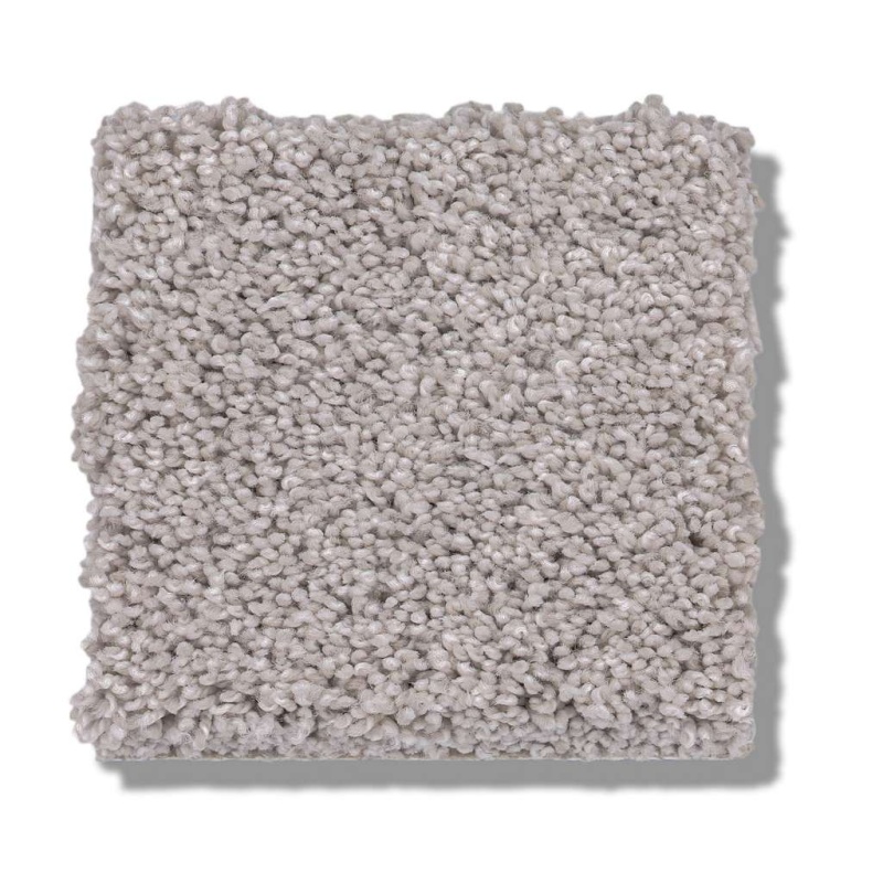 Caress By Shaw Cozy Harbor I Free Space Nylon Carpet - Textured