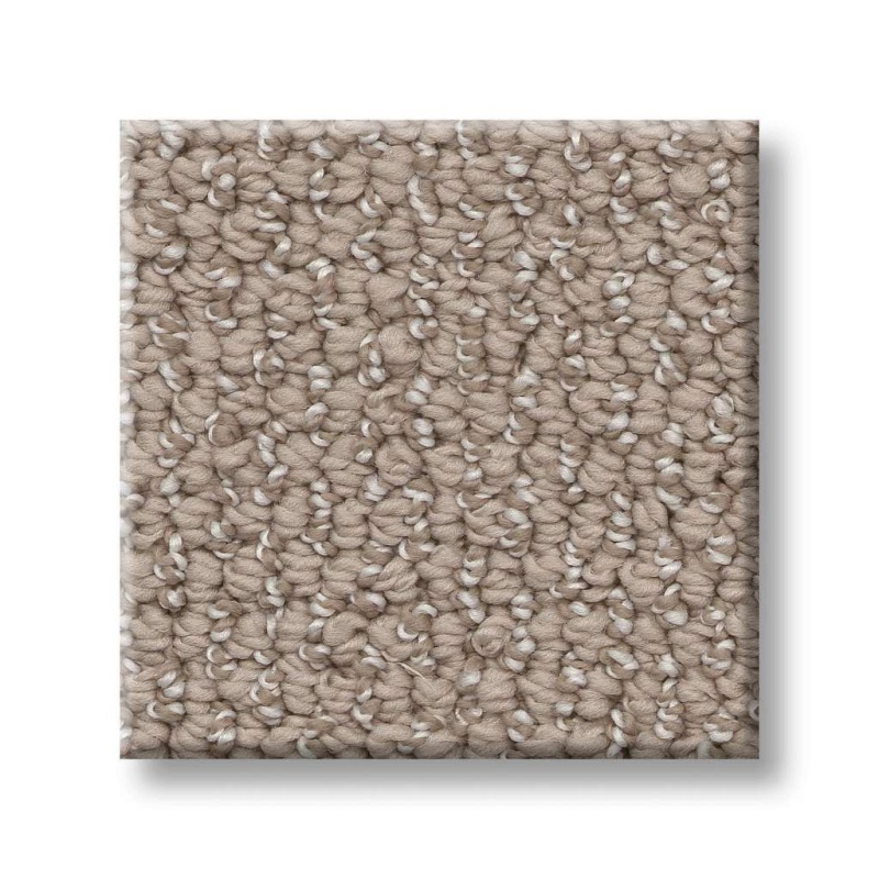 Simply The Best Embellished Perfect Taupe Polyester Carpet - Loop