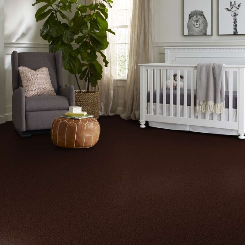 Magic At Last Iii 12' Fudge Brownie Nylon Carpet - Textured