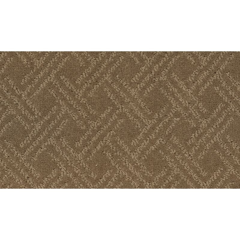Exquisite Touch Clay Trail Triexta Carpet - Pattern