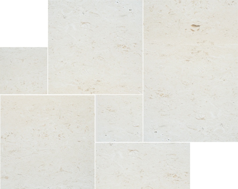 Shell Reef Limestone Versailles Pattern - Tumbled - Various Sizes