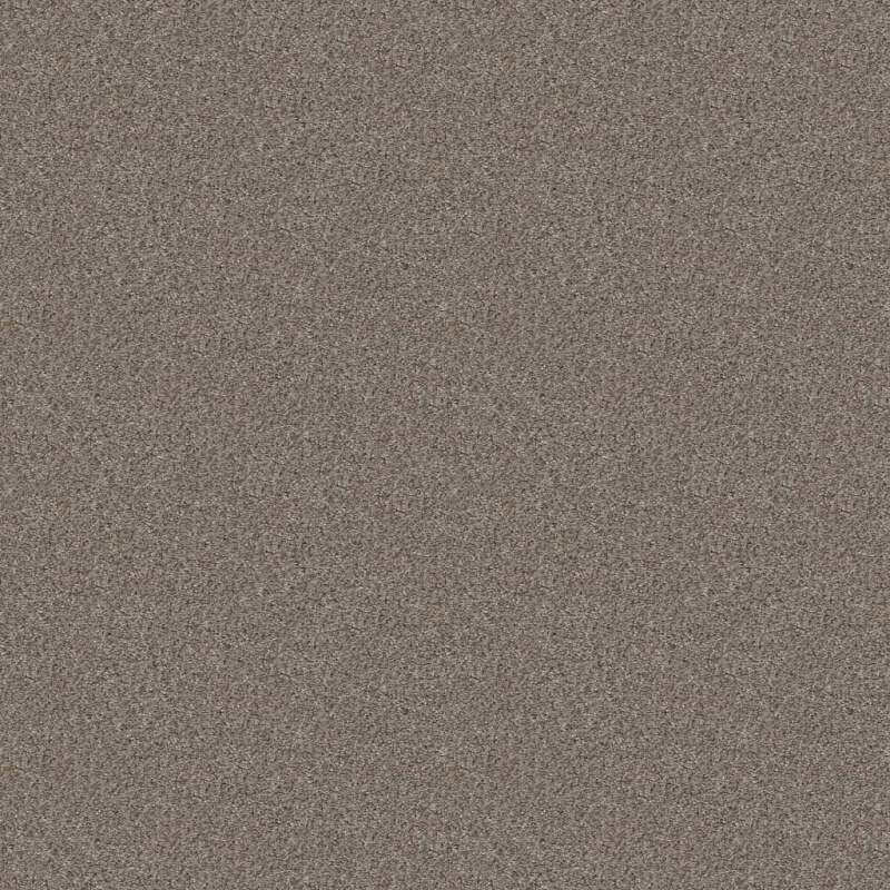 Simply The Best Cabana Life (B) Granite Polyester Carpet