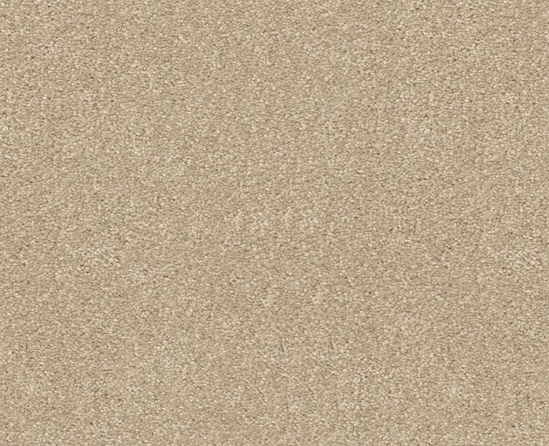 Anso Open Iii (S) Sandy Shore Nylon Carpet - Textured