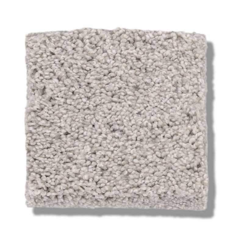 Caress By Shaw Cozy Harbor Ii Thoughtful Nylon Carpet - Textured