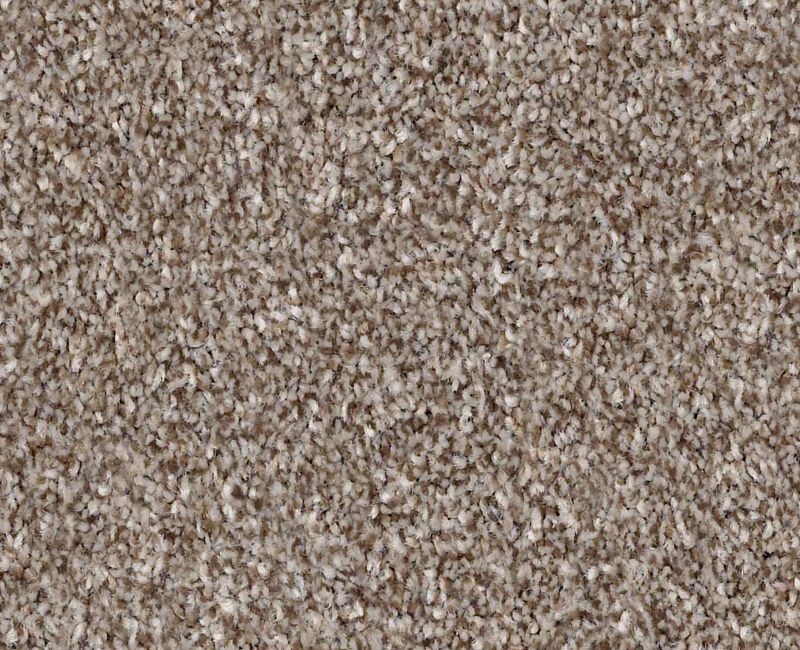 Mine To Keep I Fox Hollow Polyester Carpet - Textured