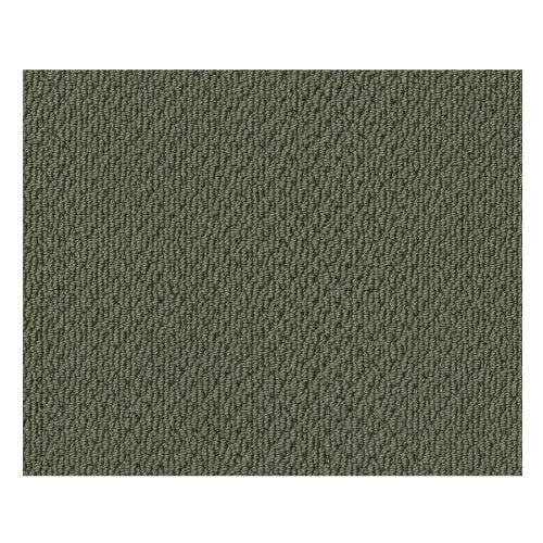Truly Tranquil Loop Bay Laurel Nylon Carpet - Loop