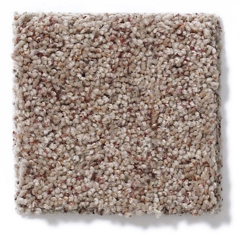 Real Life Ii Buckshot Nylon Carpet - Textured