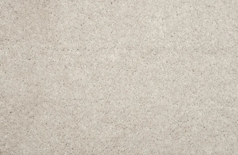 Pet Guard Henry Platinum Solution Dyed Polyes Carpet - Plush