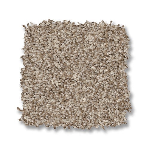 Classics Terra Nova Meditation Nylon Carpet - Textured