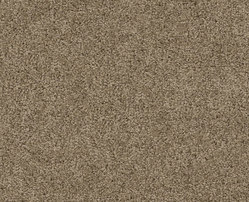 Orlando PV Briar Nylon Carpet - Textured