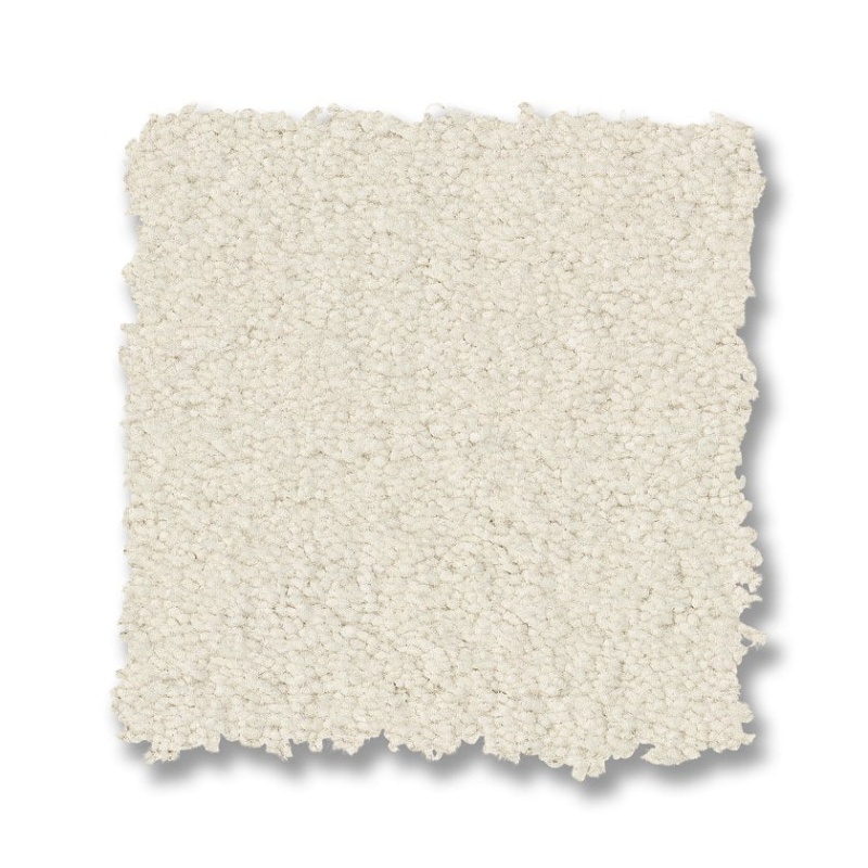 Finery Cotton Nylon Carpet - Textured