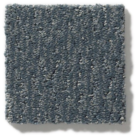 Pet Perfect Fur Ever Waterbury Nylon Carpet