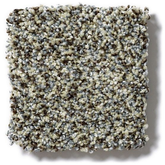 Pet Perfect Mollie's Turn Blue Waltz Nylon Carpet