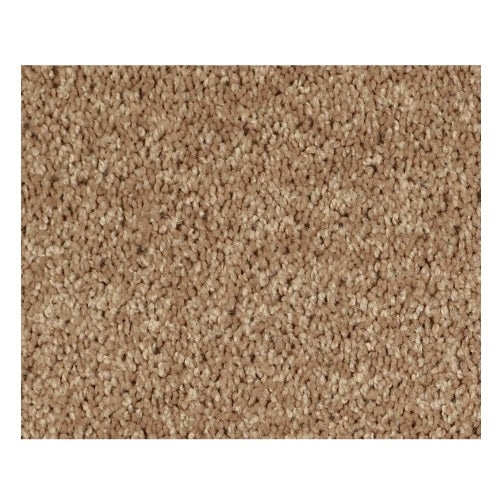 Qs232 Golden Echoes Polyester Carpet - Textured