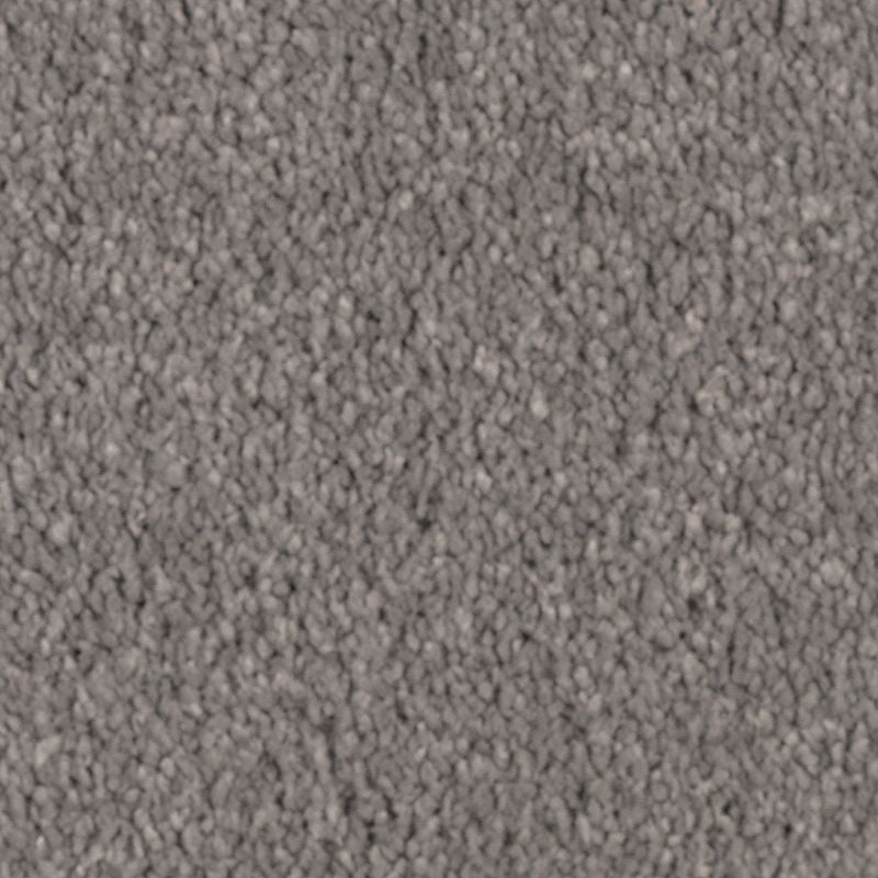 Natural Splendor Ii Stormwatch Triexta Carpet - Textured