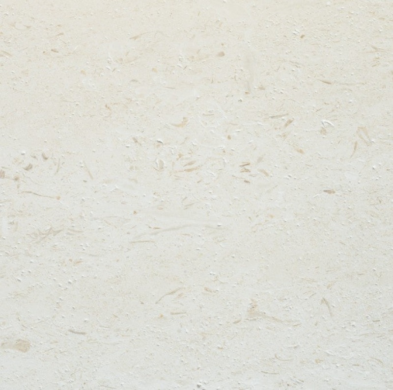 Shell Reef Limestone Tile - Polished