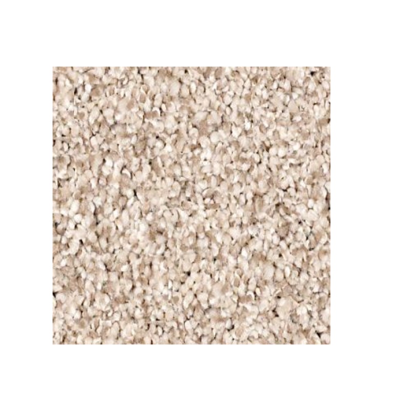 Anso It Goes River Rock Nylon Carpet - Textured