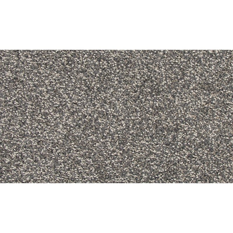 Refreshing Charm Celestial Polyester Carpet - Textured
