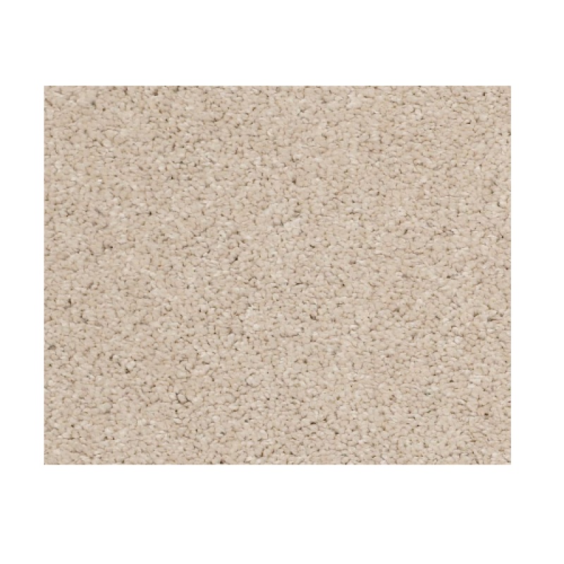 Castle Pv Ii Harvest Moon Nylon Carpet - Textured