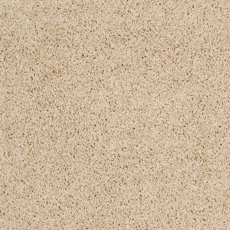 Soft Shades My Choice I Mesa Nylon Carpet - Textured