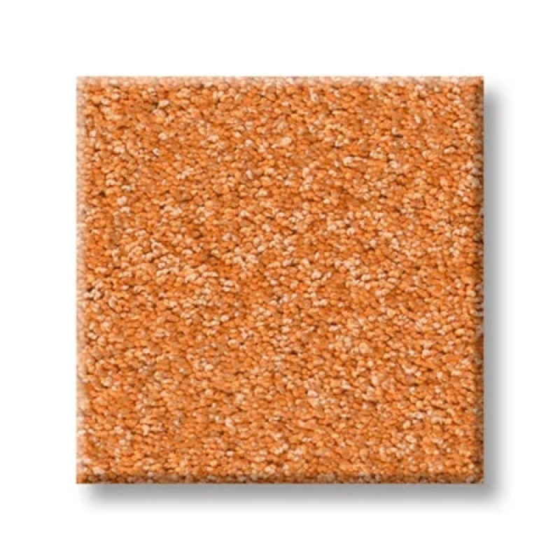 The Bright Side Orange You Glad Polyester Carpet - Textured