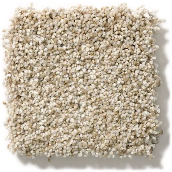 Pet Perfect The Bark Side I Pecan Nylon Carpet - Textured