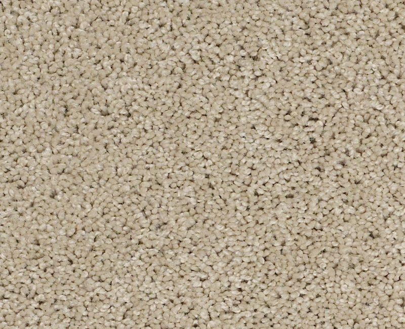 In A Twinkling Parchment Nylon Carpet - Textured