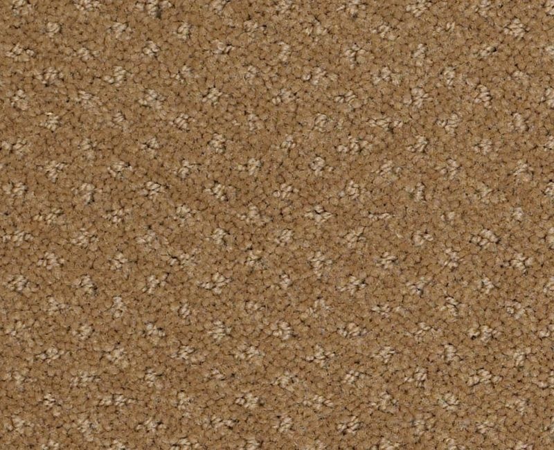 Gentle Pv Leather Bound Nylon Carpet - Pattern