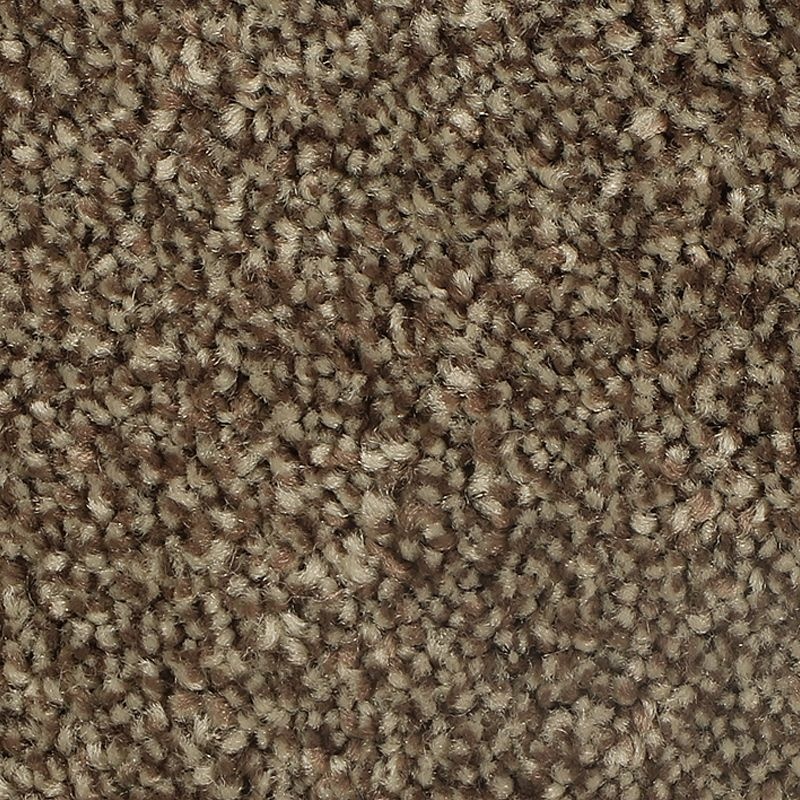 Distinct Beauty I Native Soil Polyester Carpet - Textured