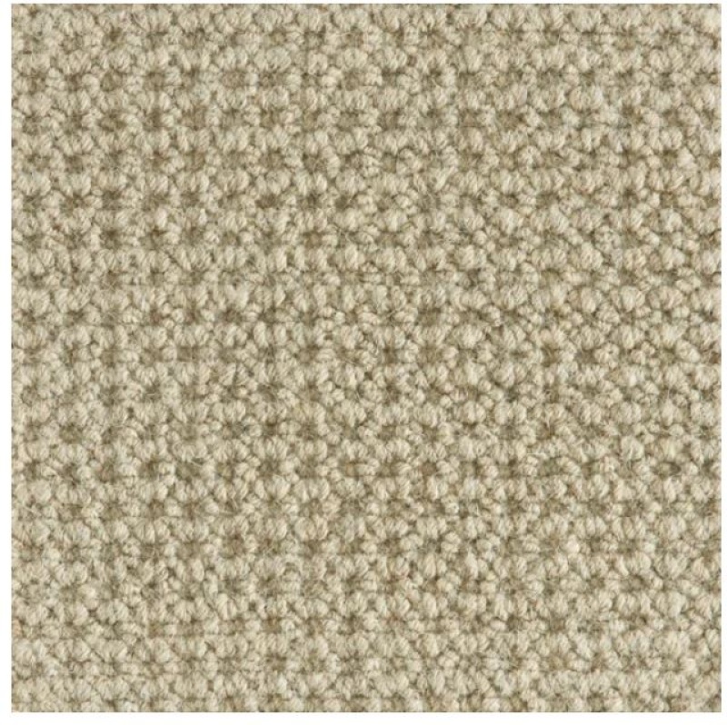 Hibernia Colony Taupe Wool Carpet - Textured