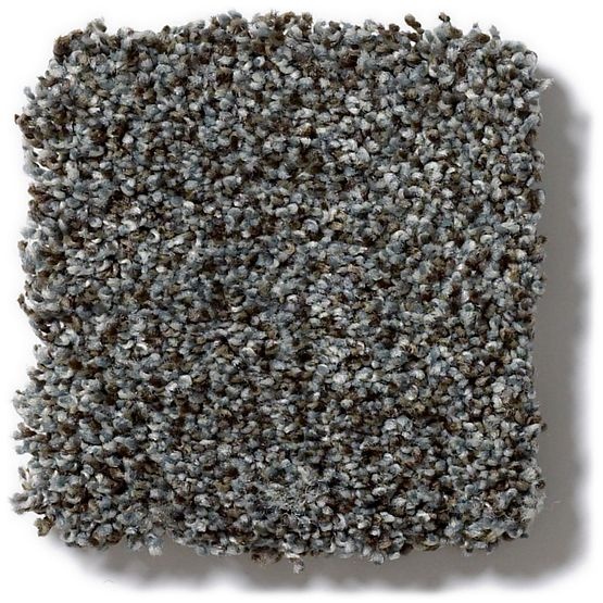 Pet Perfect Mollie's Turn Shadow Play Nylon Carpet - Textured