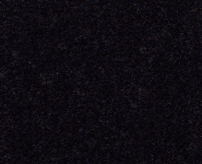 Emphatic II 36 Black Nylon Carpet - Textured