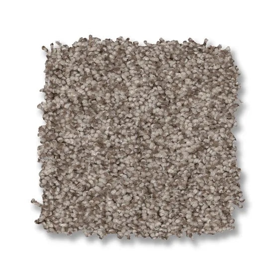 Bossa Nova Pashmina Nylon Carpet - Textured