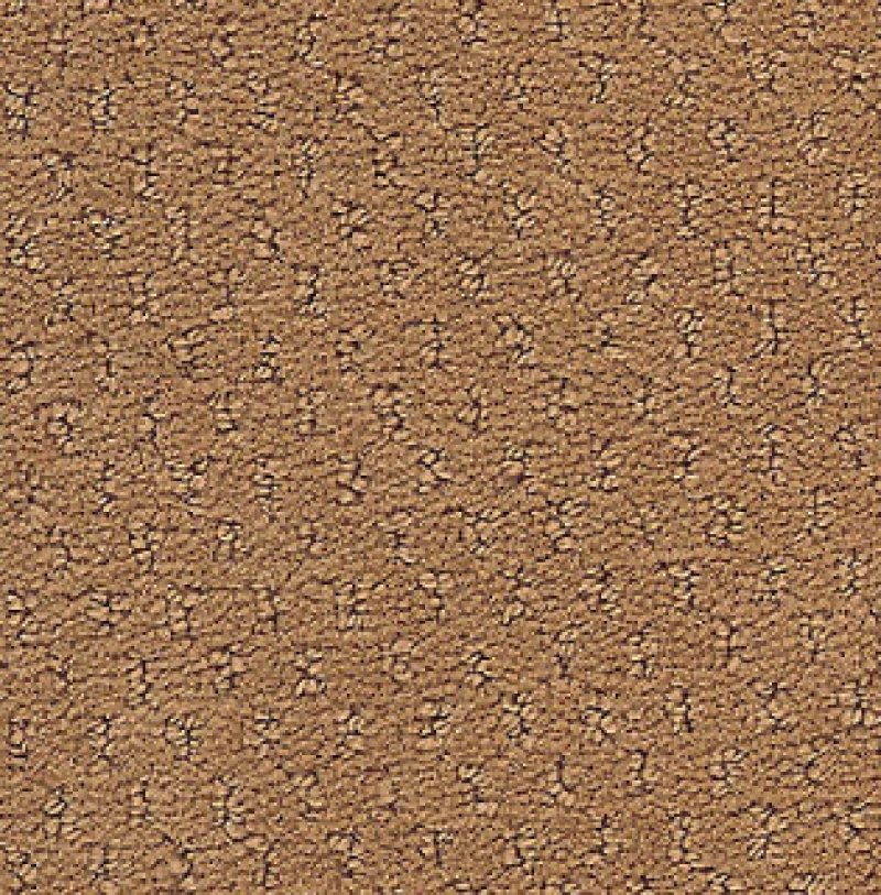 Influencer Classic Update Studio Clay Nylon Carpet - Loop