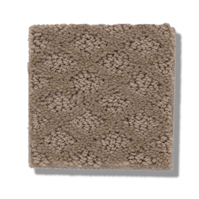 Formalize Raw Wood Nylon Carpet - Pattern
