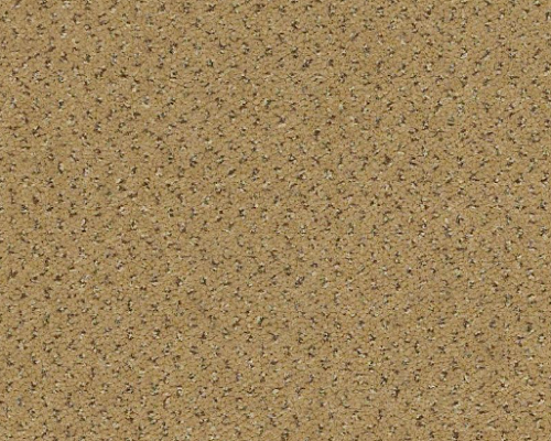 Future Generations Doers Nylon Carpet - Textured