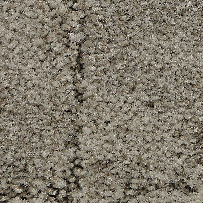 Elaborate Appeal Amarillo Polyester Carpet