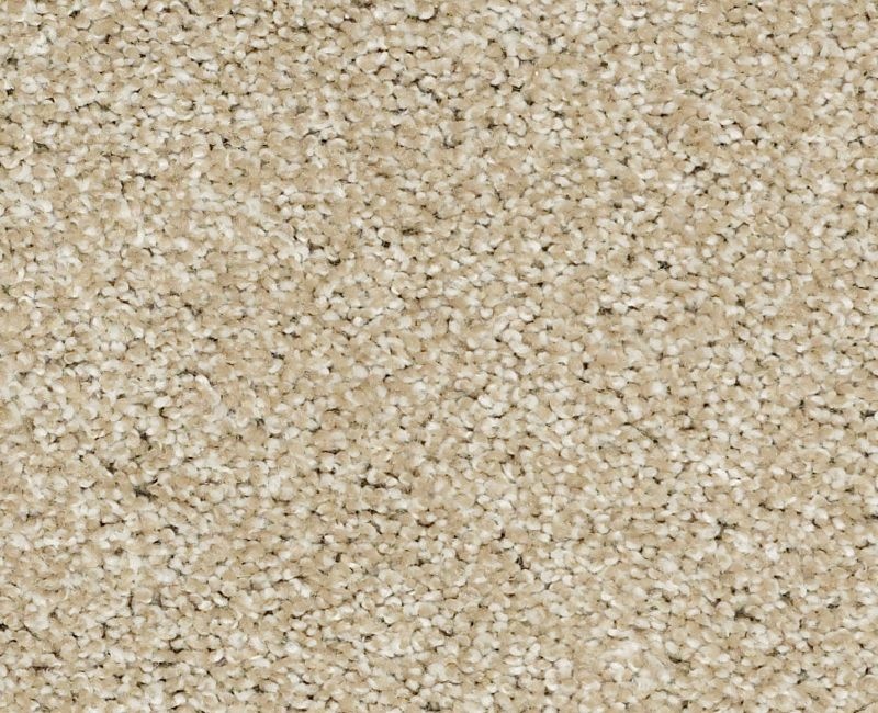 Uncomplicated Field Stone Nylon Carpet