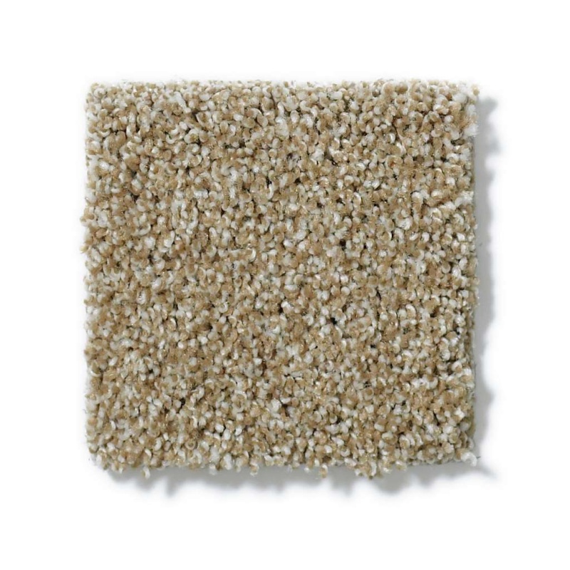 Picturesque Natural Wood Nylon Carpet - Textured